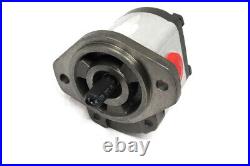 500-423/300 Hydraulic Pump for Raymond