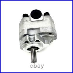 Hydraulic Oil Pump Fits For MasseyFerguson 1020 1030 M30 MF1030 3436252M91 NEW