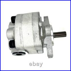Hydraulic Oil Pump Fits For MasseyFerguson 1020 1030 M30 MF1030 3436252M91 NEW
