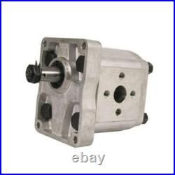 Hydraulic Pump Fits New Holland 5179714 Fits Ford 700 fits White fits Oliver